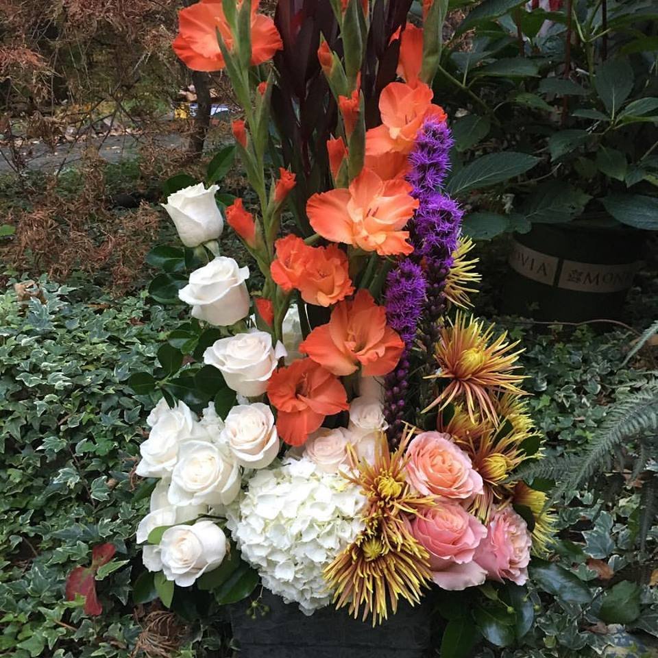 22049969_1924073654507339_4999977345034398301_n